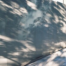 ミツメ「Basic（feat.STUTS）」配信ジャケット