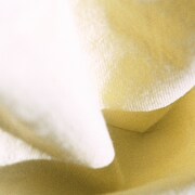 カネコアヤノ「よすが」ジャケット