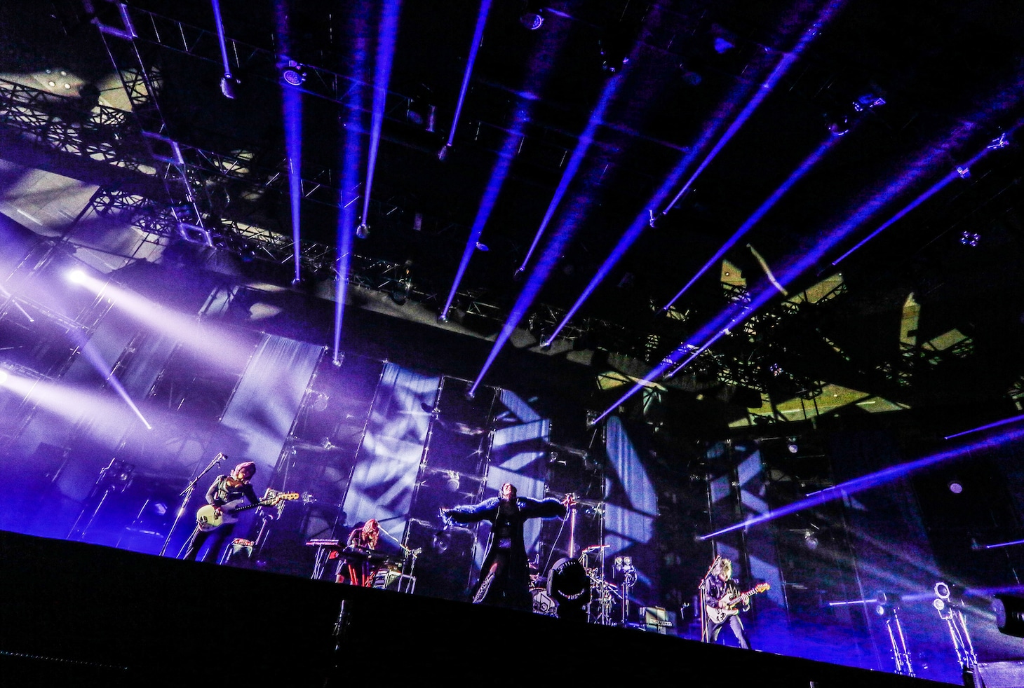 女王蜂（撮影：森好弘）