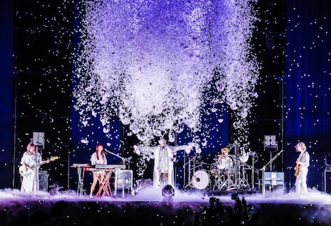 女王蜂（撮影：森好弘）