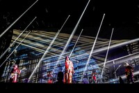 女王蜂（撮影：森好弘）