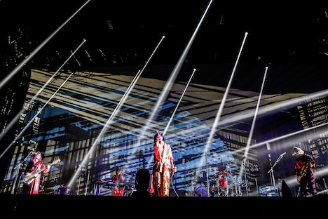 女王蜂（撮影：森好弘）