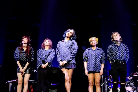 女王蜂（撮影：森好弘）