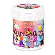 Fit's NiziUキューブボトルガム