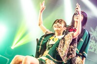 ブラジルとミミミユ。（撮影：Masayo）