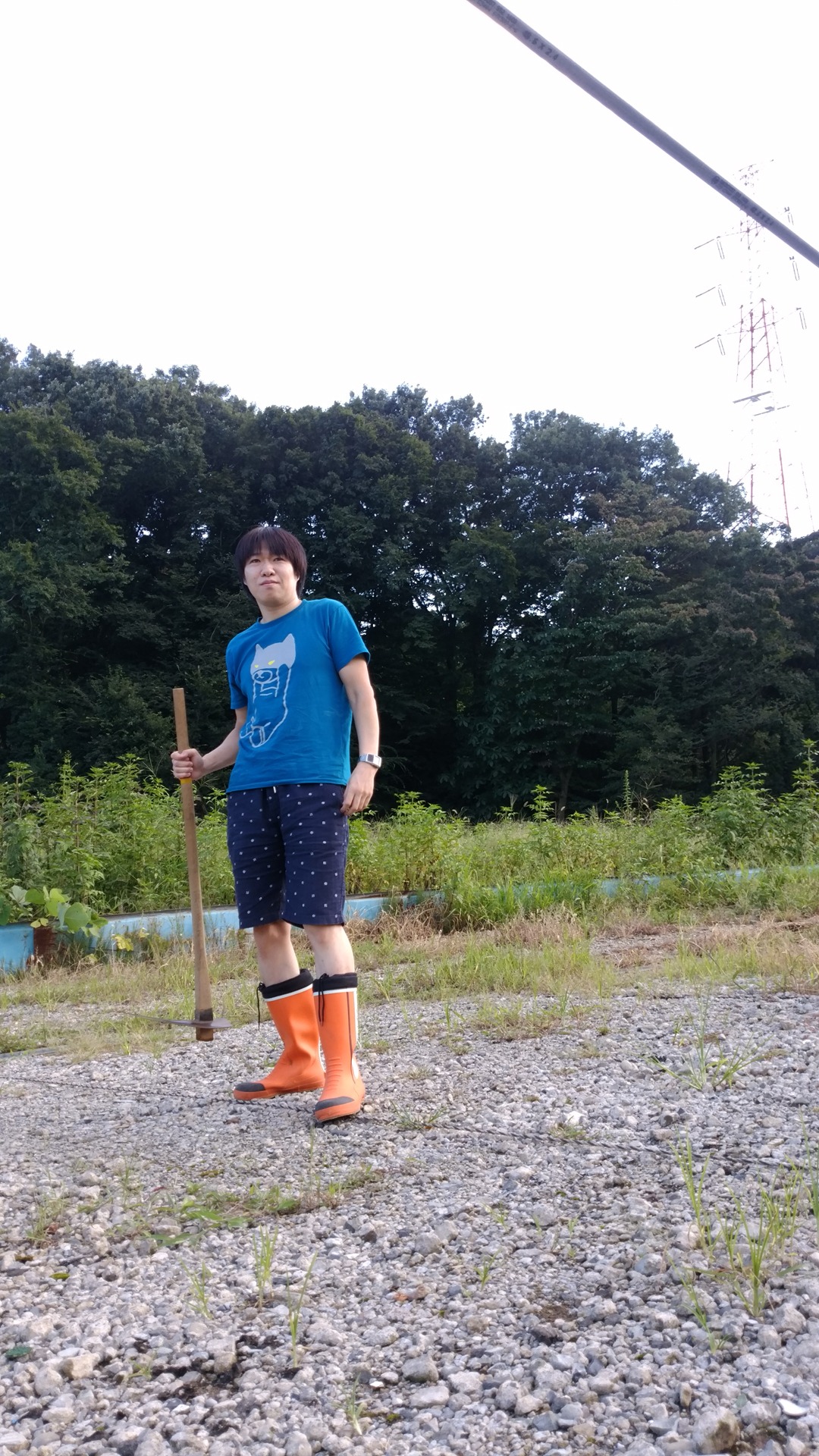 小田原ドラゴン