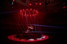 まらしぃ「marasy piano live in BUDOKAN」の様子。（Photo by ishizaka daisuke）