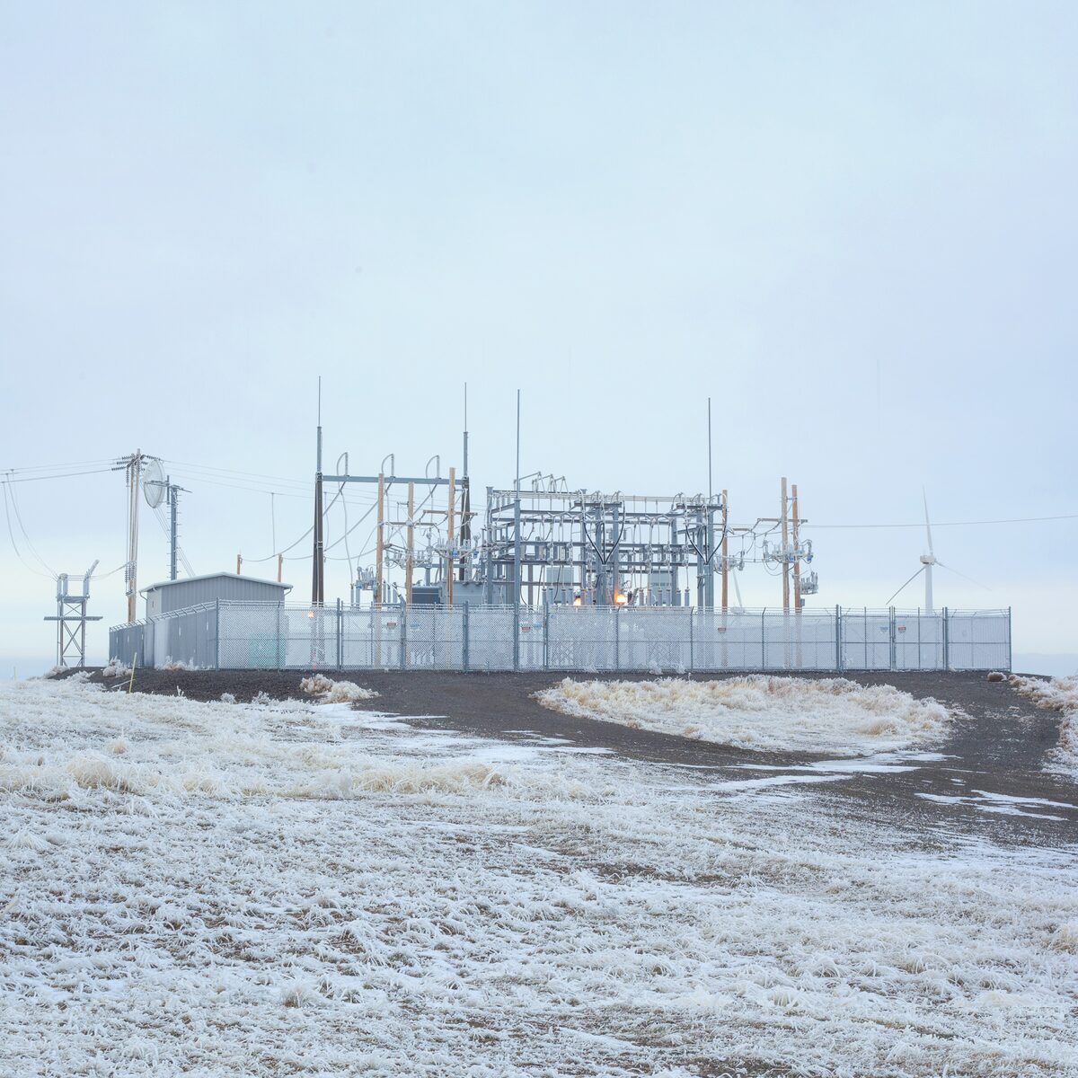 Loota Tohjiとコラボした新作リリース 動画あり 音楽ナタリー