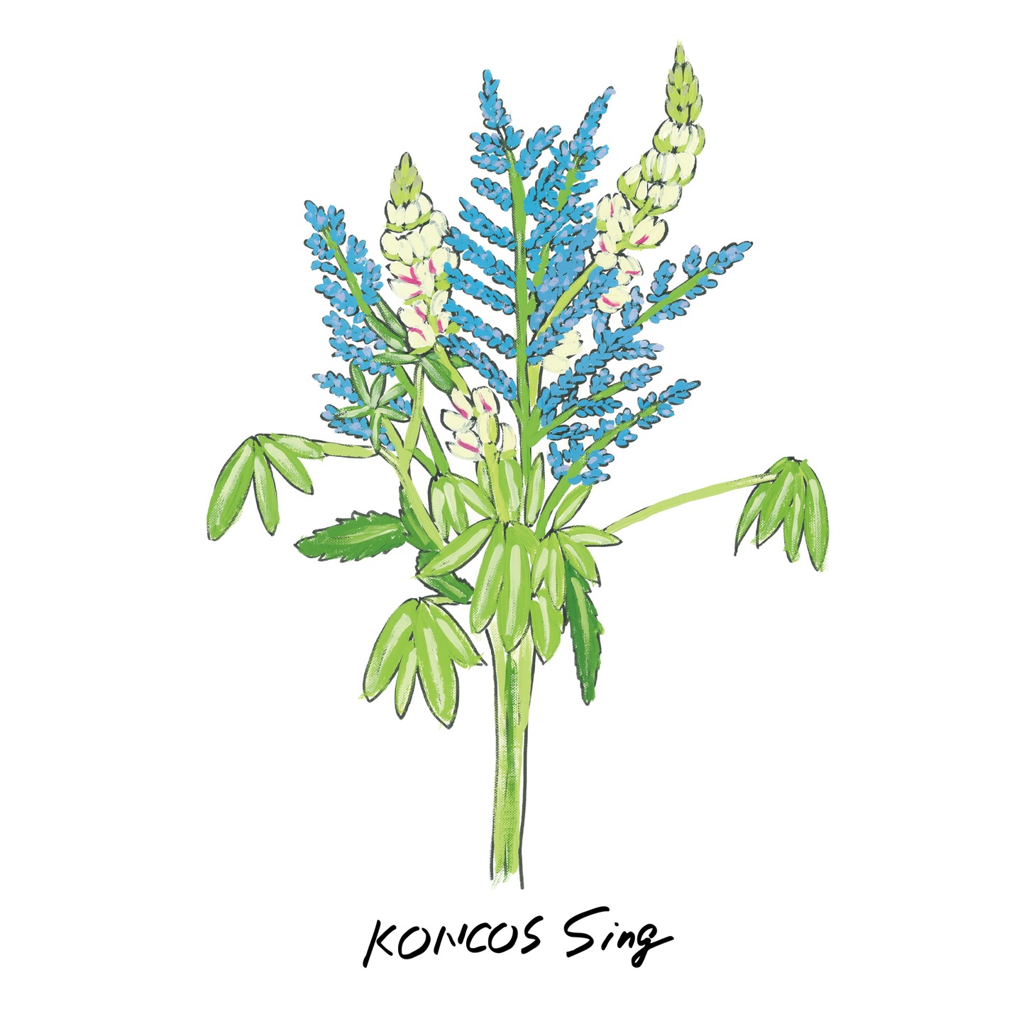 KONCOS「Sing」配信ジャケット