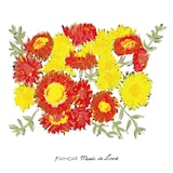 KONCOS「Music Is Love」ジャケット