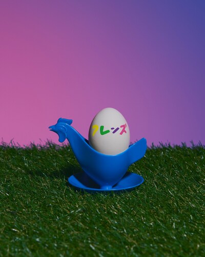 フレンズビジュアル