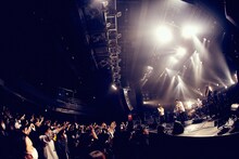 BIGMAMA（撮影：後藤壮太郎）