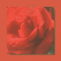 ラッキーオールドサン「母の日 / Night Lunch」ジャケット