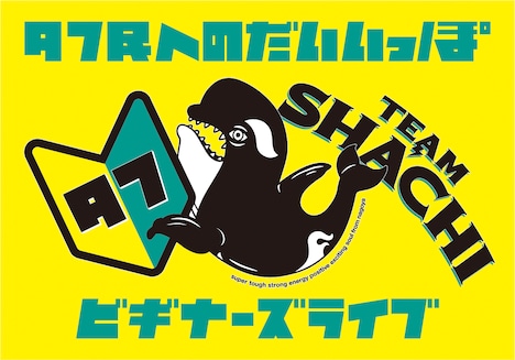 TEAM SHACHI「ビギナーズライブ」ロゴ