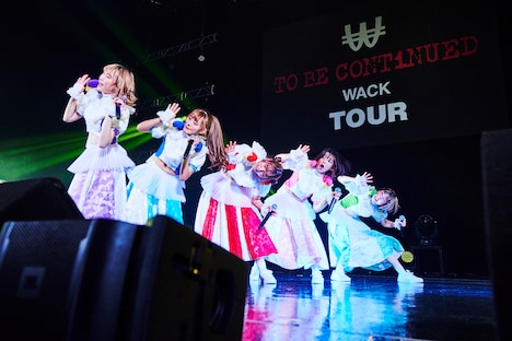 豆柴の大群（撮影：大橋祐希）