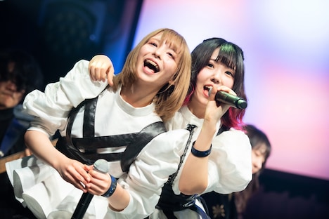 左からめありらすと、セツナウイネ。（撮影：関上貴也）