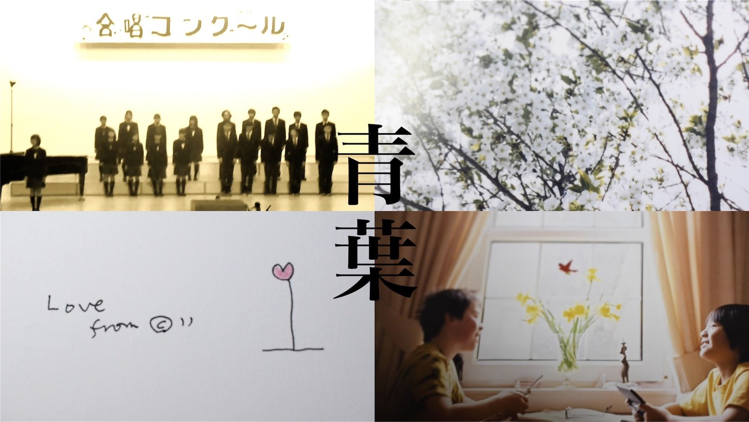 Cocco「青葉」ミュージックビデオのサムネイル。