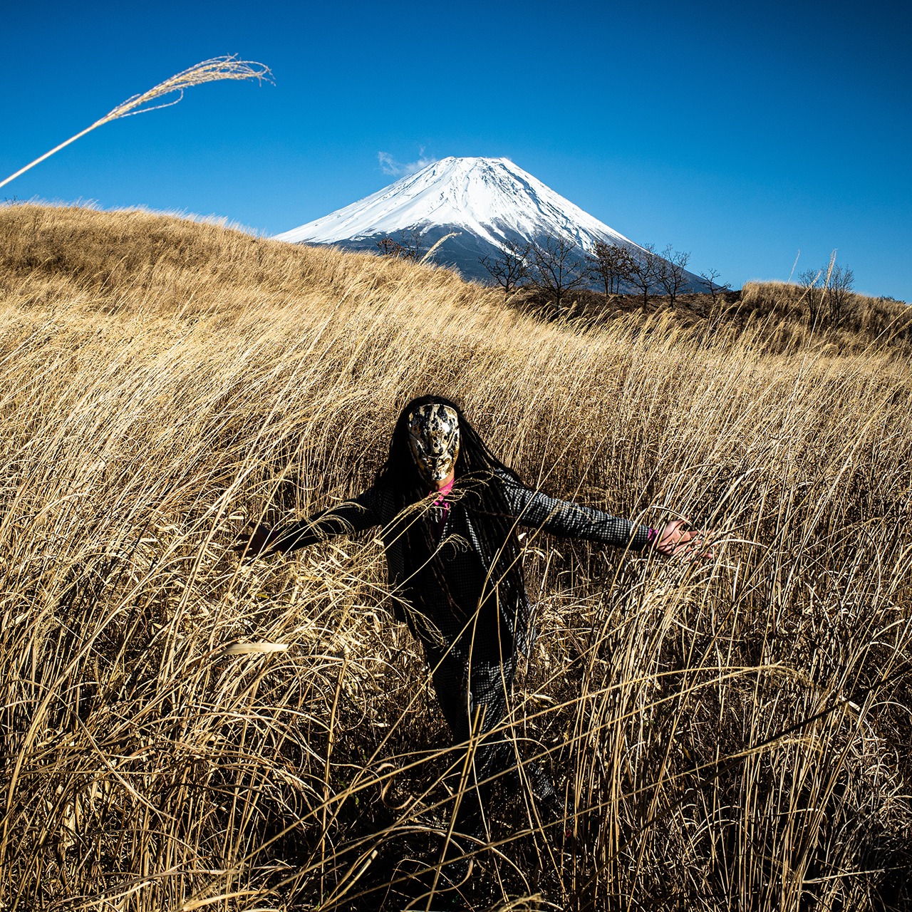 不楽、足る。「桜、咲くな。」配信ジャケット