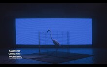 KANDYTOWN「Coming Home」Official Audioのサムネイル。