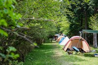 「FUJI & SUN '19」の様子。（Photo by Makoto Ebi）