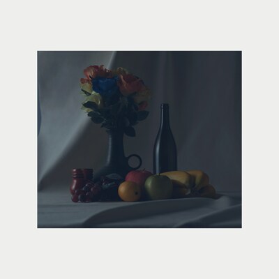 GRAPEVINE「新しい果実」スペシャルパッケージ盤ジャケット