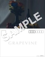 GRAPEVINE「新しい果実」購入特典ポストカードのサンプル画像。