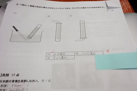 コーラの解答用紙。