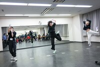 ココ・パーティン・ココ、月ノウサギ、テラシマユウカ。