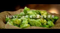 「アサヒ ビアリー」CM「ビアリーうまさ」編より。