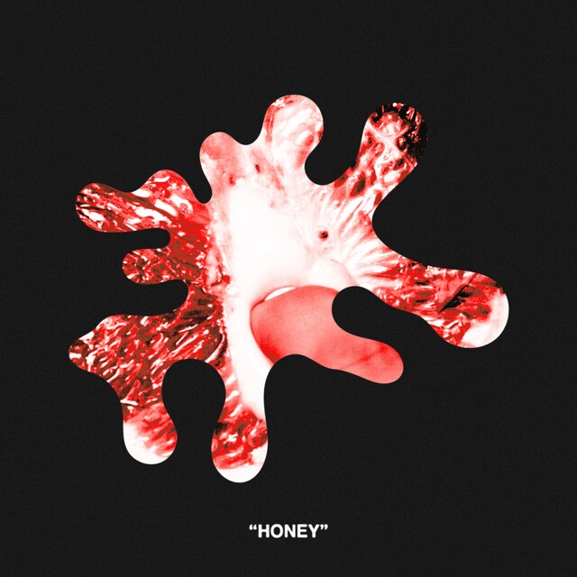 HIYADAM「Honey（feat. Yo-Sea）」配信ジャケット
