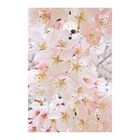 東京事変が「WBSワールドビジネスサテライト」に新テーマソング提供「共に凛と参りましょう」