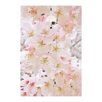 東京事変「緑酒」配信ジャケット