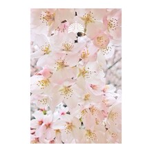 東京事変「緑酒」配信ジャケット