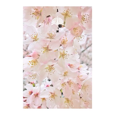 東京事変「緑酒」配信ジャケット