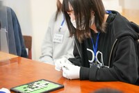 メインディッシュ・アカネ