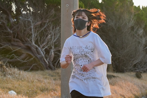 ミユキエンジェル（豆柴の大群）