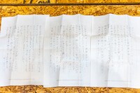 月ノウサギ（WAgg）の手紙。