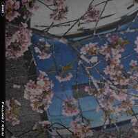 KEIJU「Falling」配信ジャケット