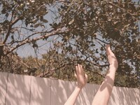 里咲りさ「太陽の仕業」ミュージックビデオのサムネイル。