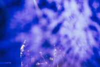 コムアイ×Kuniyuki Takahashi×OKI