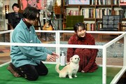 「櫻井・有吉THE夜会」2021年4月1日放送回より。(c)TBS