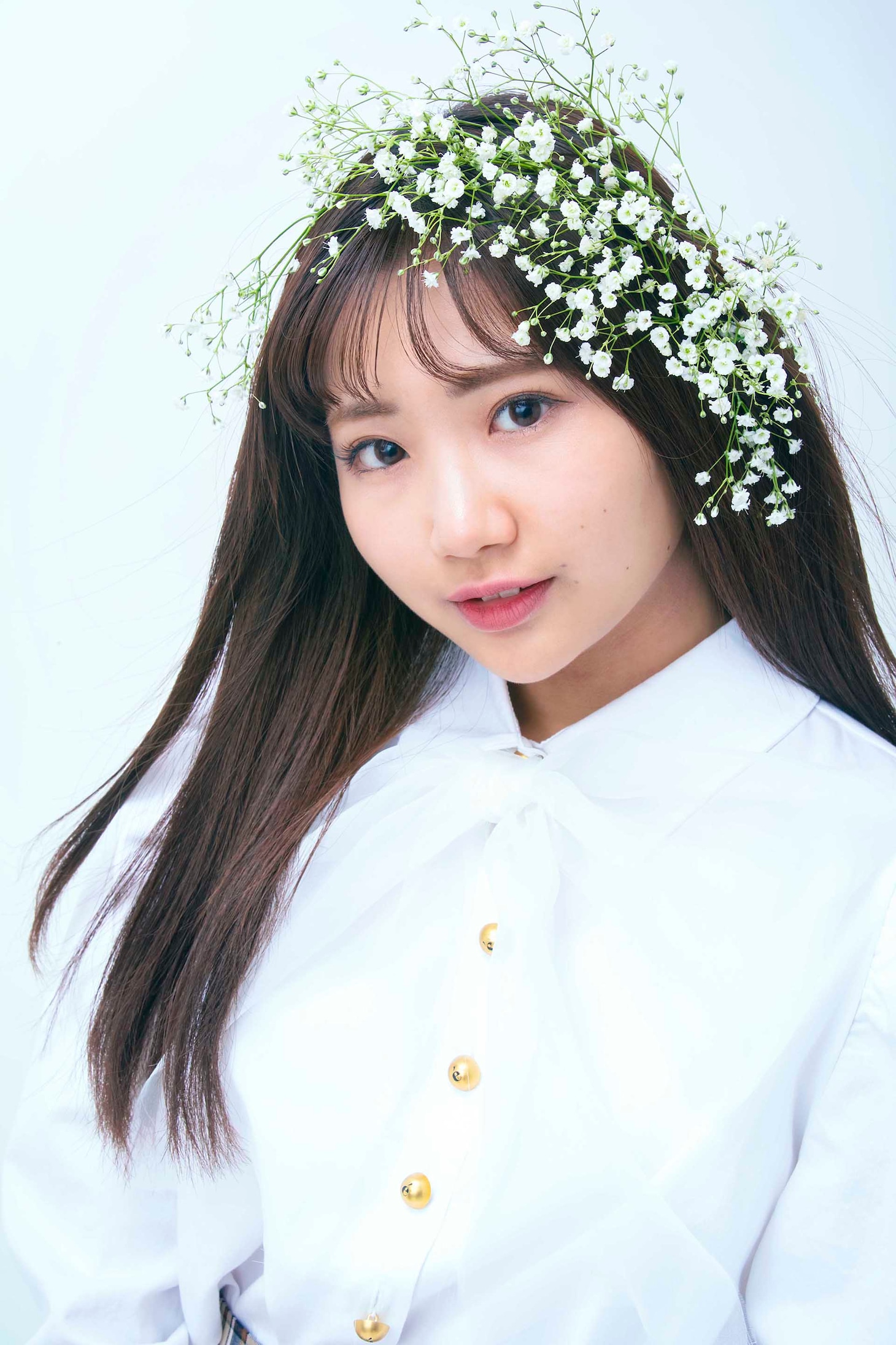 HIMARI（宣伝部）