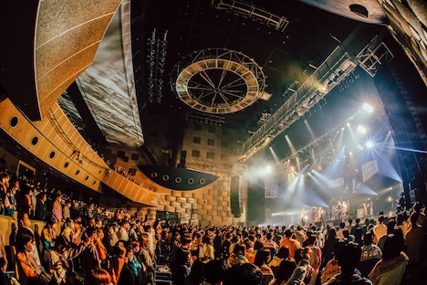 Amelie（撮影：日吉“JP”純平）