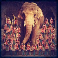 ラストアイドル「君は何キャラット？」WEB盤ジャケット