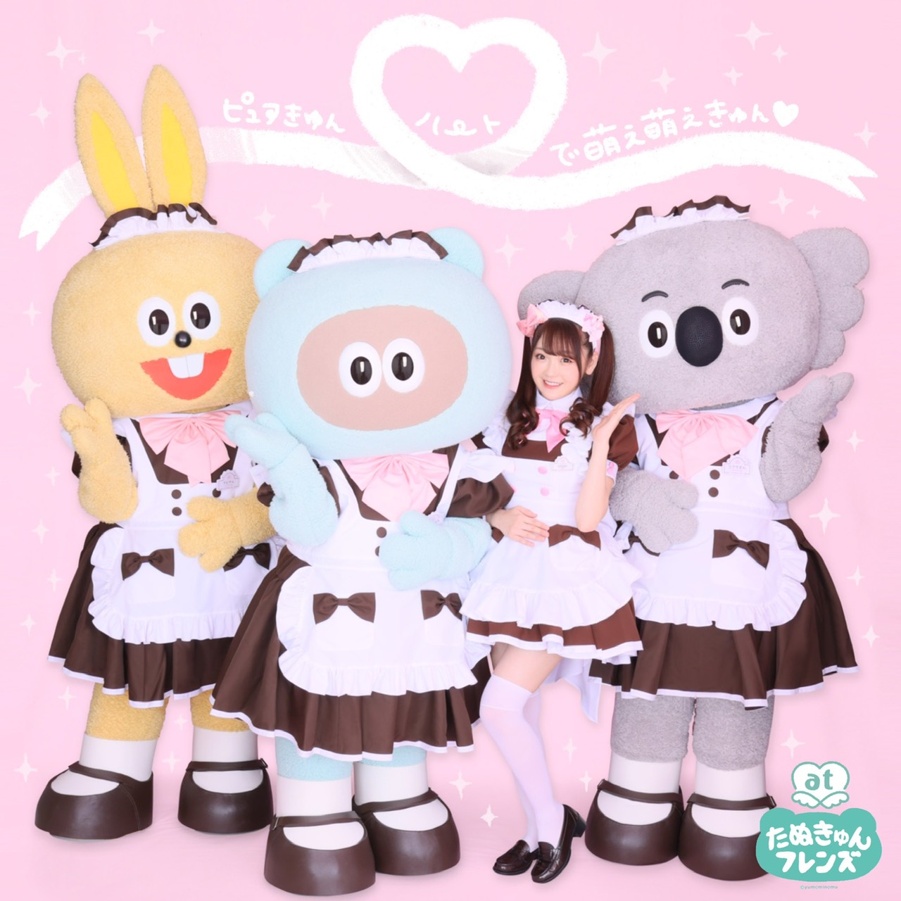 たぬきゅんフレンズ「ピュアきゅんハートで萌え萌えきゅん▽」配信ジャケット