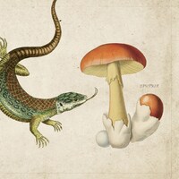 印象派「スプートニク」ジャケット