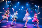 TEAM SHACHIが東名阪でオトす!!ワンマンツアー決定、全公演招待制のビギナーズライブ付き