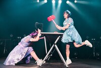 たたいてかぶってジャンケンポンをする大黒柚姫、咲良菜緒。（撮影：曽我美芽）