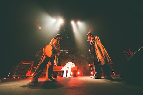 さくらしめじ（撮影：鈴木友莉）