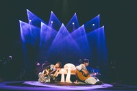 さくらしめじ（撮影：鈴木友莉）